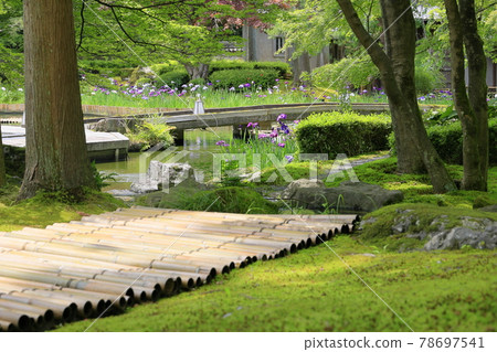 Shozan 新鮮的綠色和苔蘚花園 78697541