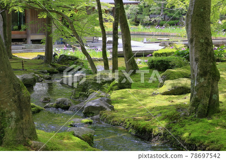 Shozan 新鮮的綠色和苔蘚花園 78697542