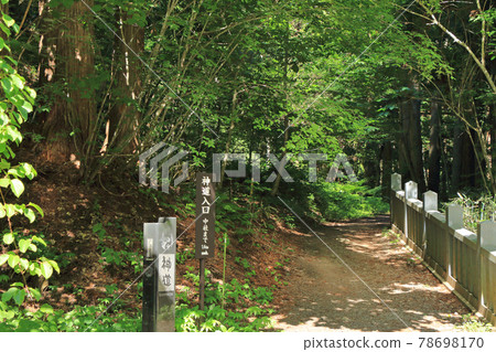 戶隱神社（北甲社至中社的道路） 78698170