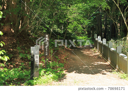 Togakushi Shrine Shinto (Road from Hokkosha to Chusha) Togakushi Shrine Shinto (Road from Hokkosha to Chusha) 78698171