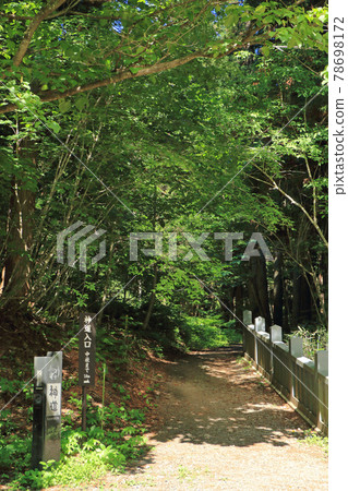Togakushi Shrine Shinto (Road from Hokkosha to Chusha) Togakushi Shrine Shinto (Road from Hokkosha to Chusha) 78698172