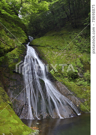 Ukegawa no Taki (Hongucho, Tanabe City, Wakayama Prefecture) 78698875