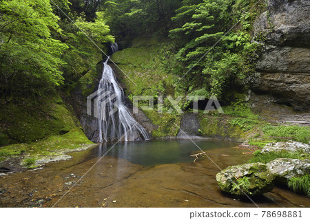 Ukegawa no Taki (Hongucho, Tanabe City, Wakayama Prefecture) Ukegawa no Taki (Hongucho, Tanabe City, Wakayama Prefecture) 78698881