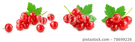 Red currant berries with leaf isolated on white background. Set or collection 78699226