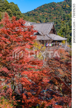 Autumn leaves of Nara Hase-dera Autumn leaves of Nara Hase-dera 78699283