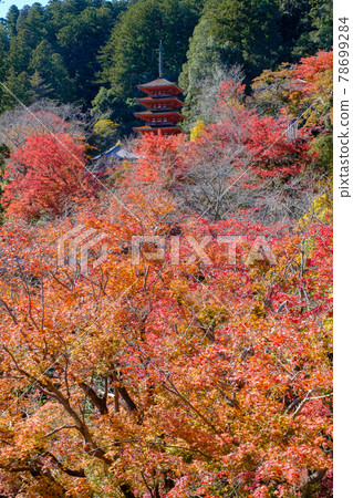 Autumn leaves of Nara Hase-dera Autumn leaves of Nara Hase-dera 78699284