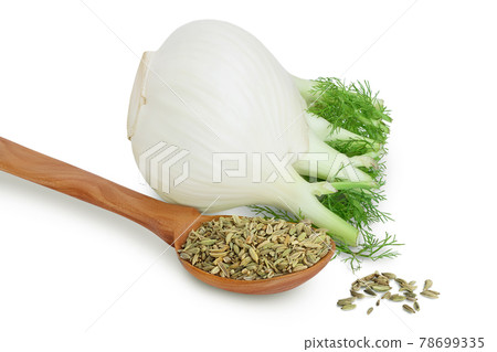 fresh fennel bulb with seed isolated on white background with clipping path and full depth of field 78699335