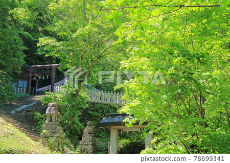  Togakushi Shrine Okusha 78699341