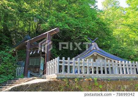 Togakushi Shrine Okusha 78699342