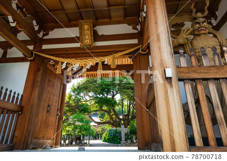 高德院、繡球花盛開<愛知縣豐明市> 高德院、繡球花盛開<愛知縣豐明市> 78700718