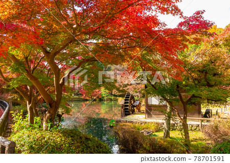 東山紅葉動植物園 <愛知縣名古屋市> 東山紅葉動植物園 <愛知縣名古屋市> 78701591