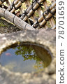 Reflection 78701659