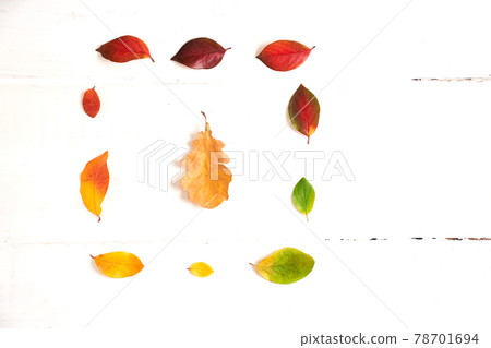 Square of colorful autumn leaves, gradient frame for design on a white wood 78701694
