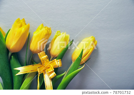Five yellow tulips on silver grey background with a yellow ribbon and copy space 78701732