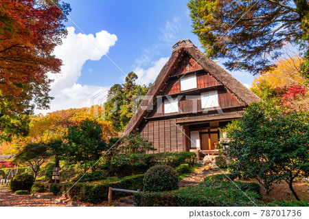 Higashiyama Zoo and Botanical Garden of Autumn Leaves <Nagoya City, Aichi Prefecture> 78701736