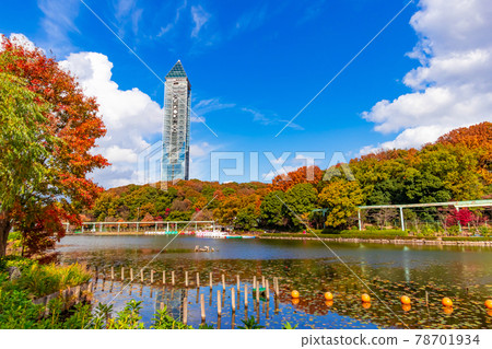 Higashiyama Zoo and Botanical Garden of Autumn Leaves <Nagoya City, Aichi Prefecture> 78701934