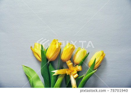 Five yellow tulips on silver grey background with a yellow ribbon and copy space 78701940