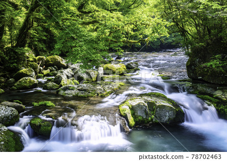 Beautiful Kikuchi Gorge, which has been selected as one of the 100 best waters in Japan (Kikuchi City, Kumamoto Prefecture) 78702463
