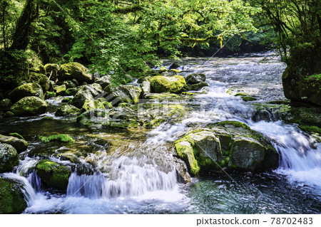 Beautiful Kikuchi Gorge, which has been selected as one of the 100 best waters in Japan (Kikuchi City, Kumamoto Prefecture) 78702483
