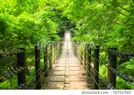 [Ibaraki Prefecture] Hananuki Gorge in early summer 78702560
