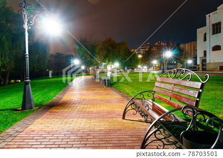 autumn city park at night, trees with yellow leaves, street lights and benches autumn city park at night, trees with yellow leaves, street lights and benches 78703501