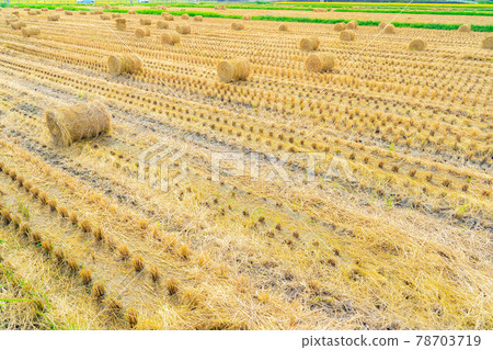 [Autumn material] Rice straw roll [Nagano Prefecture] 78703719
