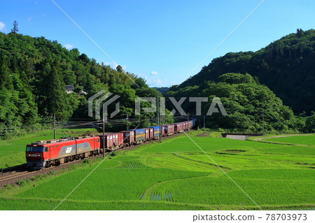 充滿活力的稻田和貨運列車 78703973