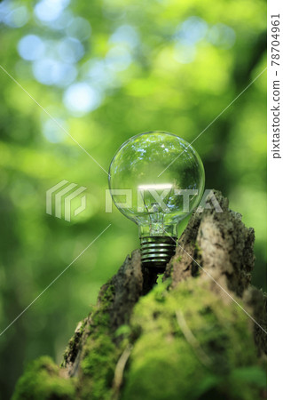 eco, ecology, ecologic 78704961