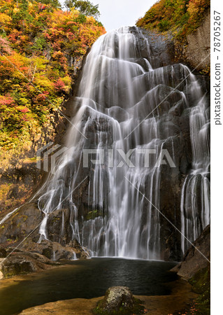 Anse秋葉沒有瀑布 78705267