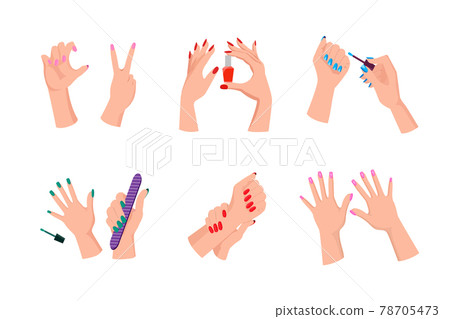 Female Hands with Neat Modern Bright Manicure Female Hands with Neat Modern Bright Manicure 78705473
