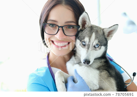Woman veterinarian holding dog with blue eyes against pet clinic background Woman veterinarian holding dog with blue eyes against pet clinic background 78705691