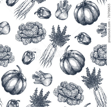Farm vegetables seamless pattern. Carrot, pumpkin, pepper, cabbage, fennel. Vector illustration. Farm vegetables seamless pattern. Carrot, pumpkin, pepper, cabbage, fennel. Vector illustration. 78706655