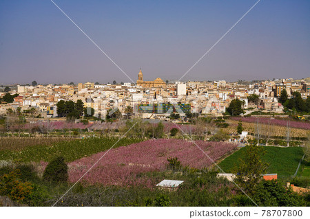 Cieza with its church, Parroquia La Asuncion in the Murcia region in Spain Cieza with its church, Parroquia La Asuncion in the Murcia region in Spain 78707800