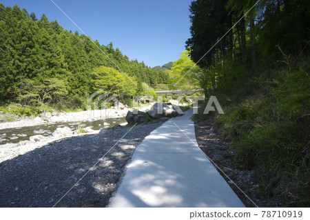 在青翠的御岳峽谷，從多摩川上的相馬之子橋和上地橋之間的步道眺望上游 78710919