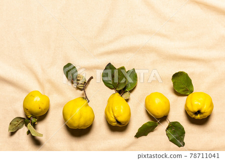 Row of quince apples on linen with copy space Row of quince apples on linen with copy space 78711041