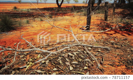 Pampas with barbed wire fence and dry bushes Pampas with barbed wire fence and dry bushes 78711157