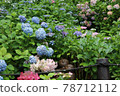 Hydrangea and Jizo 78712112