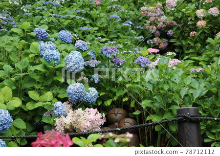 Hydrangea and Jizo 78712112