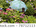 Hydrangea and umbrella 78712113