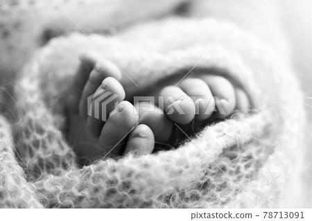 Photo of the legs of a newborn. Baby feet covered with wool isolated background. The tiny foot of a newborn in soft selective focus. Black and white image of the soles of the feet. Photo of the legs of a newborn. Baby feet covered with wool isolated background. The tiny foot of a newborn in soft selective focus. Black and white image of the soles of the feet. 78713091