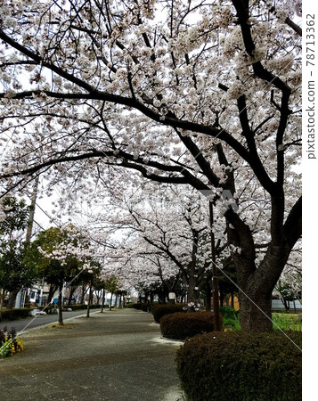 Akanedai Kumanoya Park, Akanedai 1-chome, Aoba Ward, Yokohama City Akanedai Kumanoya Park, Akanedai 1-chome, Aoba Ward, Yokohama City 78713362
