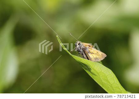 Powered by Discuz! 78713421