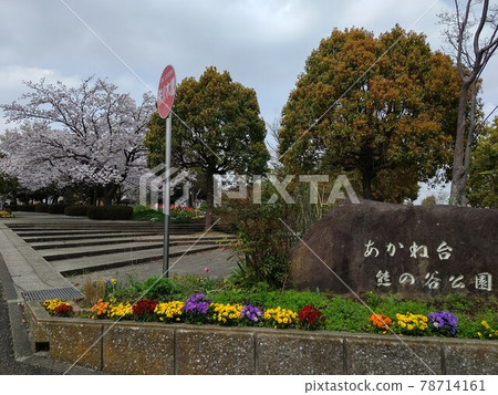 橫濱市青葉區赤台1丁目赤台熊野屋公園 橫濱市青葉區赤台1丁目赤台熊野屋公園 78714161