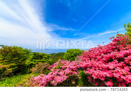 Miyama Kirishima of Nita Pass [Unzen City, Nagasaki Prefecture] 78714265