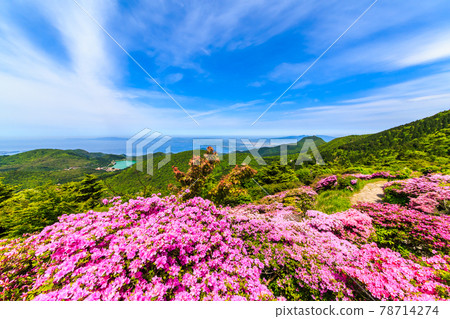 Nita Pass的Miyama Kirishima [長崎縣雲仙市] 78714274