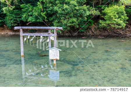 Watatsumi Shrine [Tsushima City, Nagasaki Prefecture] 78714917