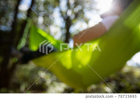 Defocused hammocking in summer tropical forest Defocused hammocking in summer tropical forest 78715693