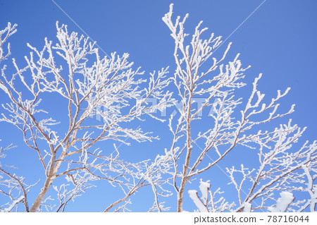 Blue sky and hoarfrost on Mt. Adatara Blue sky and hoarfrost on Mt. Adatara 78716044