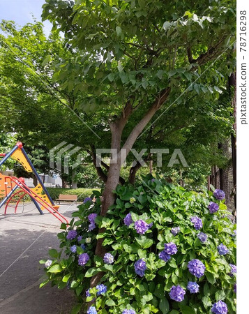 橫濱市鶴見區彌古 彌古5丁目公園 JR南部線「彌古站」 城市公園、街區公園、鄰近公園 橫濱市鶴見區彌古 彌古5丁目公園 JR南部線「彌古站」 城市公園、街區公園、鄰近公園 78716298