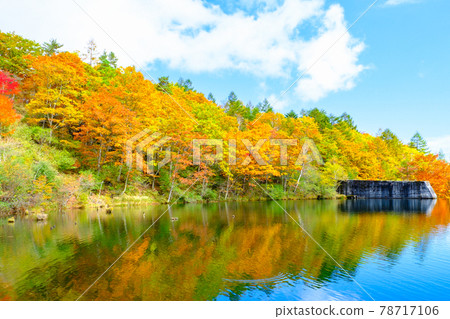 Yachiho Kogen Nature Park (Autumn): Lake Yuki 78717106